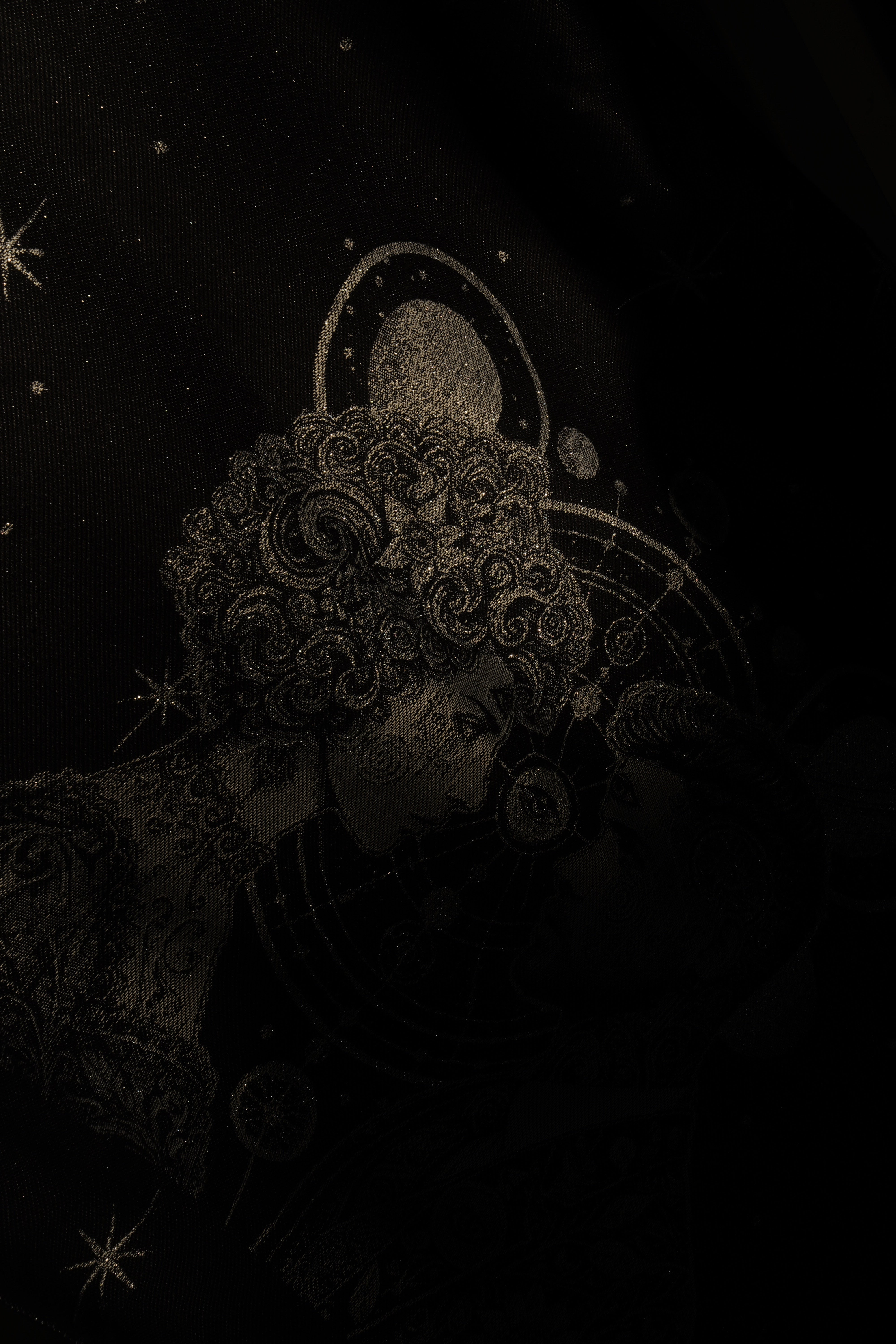 portador de bebê Flip Vega e Altaïr