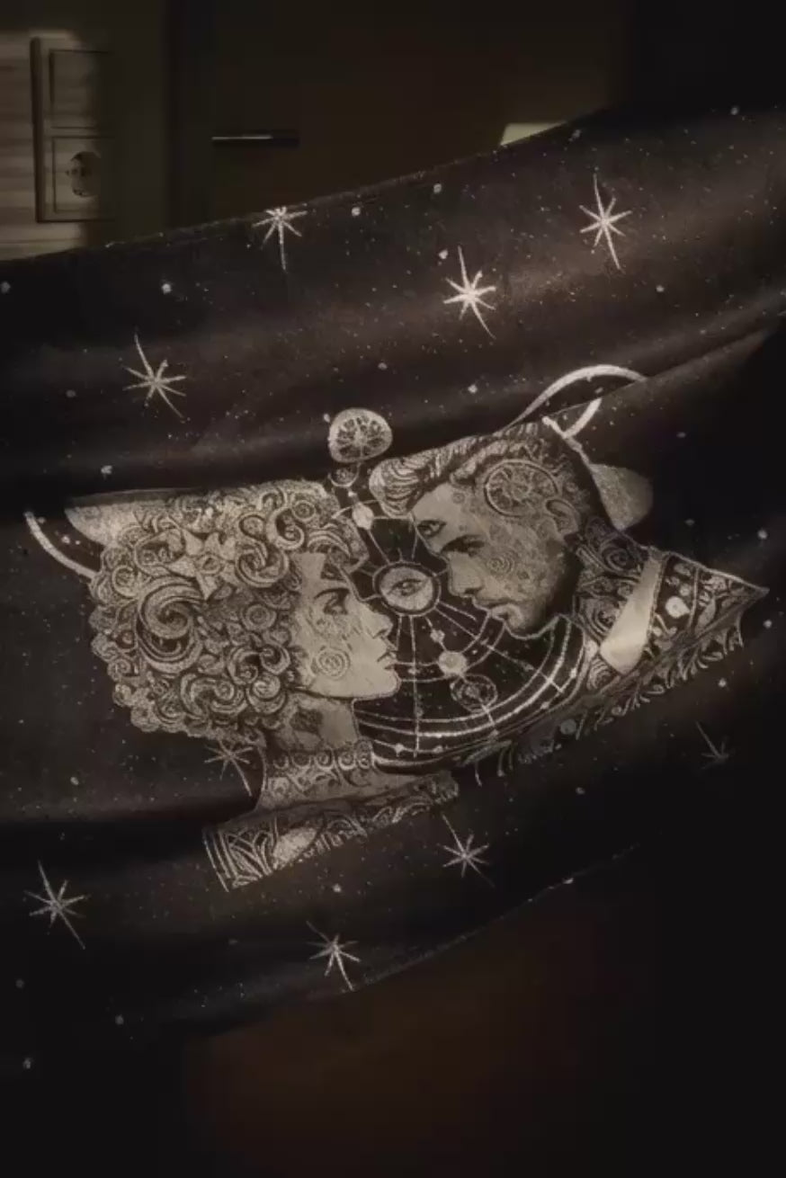 portador de bebê Flip Vega e Altaïr